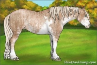 Horse Color:Chocolate Palomino Pearl Sabino Varnish Rabicano  and Liver Chestnut Pearl Sabino Varnish Rabicano 