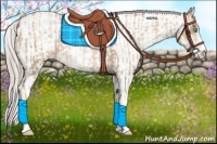 Horse Color:Chocolate Palomino Pearl Sabino Varnish Rabicano  and Chocolate Palomino Pearl Sabino Varnish Rabicano 