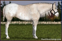 Horse Color:Chocolate Palomino Pearl Sabino Appaloosa Rabicano  and Chocolate Palomino Pearl Sabino Frame Appaloosa Rabicano 