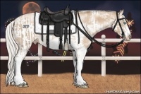 Horse Color:Chocolate Palomino Pearl Sabino Appaloosa Rabicano  and Chocolate Palomino Pearl Sabino Frame Appaloosa Rabicano 