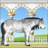 Horse Color:White Spotted Blue Roan Rabicano  and White Spotted Blue Roan Splash Rabicano 