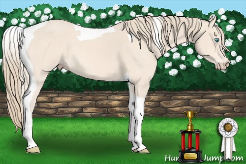 Horse Color:Perlino Tobiano 
