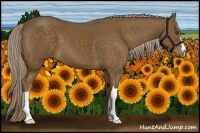 Horse Color:Chocolate Palomino 