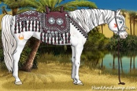 Horse Color:Chocolate Palomino Pearl Sabino Appaloosa Rabicano and Chocolate Palomino Pearl Sabino Splash Appaloosa Rabicano