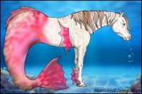 Horse Color:Buckskin Pearl Dun Sabino Splash Rabicano  and Chocolate Palomino Pearl Sabino Splash Appaloosa Rabicano 
