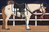 Horse Color:Red Dun Roan 