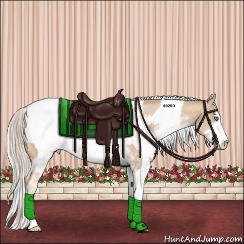 Horse Color:Chocolate Palomino Pearl Sabino Snowcap Rabicano and Palomino Pearl Sabino Snowcap Rabicano