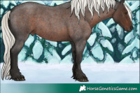 Horse Color:Liver Red Roan Mushroom Sabino 