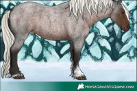 Horse Color:Liver Red Roan Mushroom Sabino 