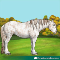 Horse Color:Chocolate Palomino Ice Pearl Sabino Varnish Rabicano  and Painted Liver Chestnut Ice Pearl Sabino Varnish Rabicano 