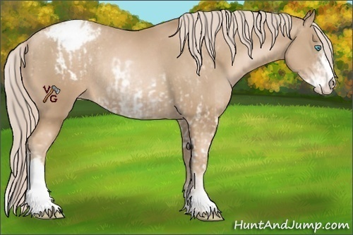 Horse Color:Chocolate Palomino Pearl Sabino Appaloosa Rabicano  and Chocolate Palomino Pearl Sabino Appaloosa Rabicano 