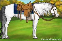 Horse Color:Black Sabino Appaloosa Rabicano 