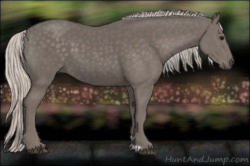 Horse Color:Silver Black 