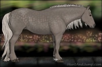 Horse Color:Silver Black 