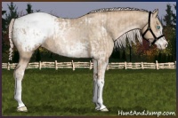 Horse Color:Chocolate Palomino Pearl Sabino Appaloosa Rabicano  and Chocolate Palomino Pearl Sabino Appaloosa Rabicano 