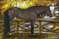 Horse Color:Brown 