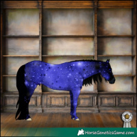 Horse Color:ERROR: UNKNOWN ANOMALY