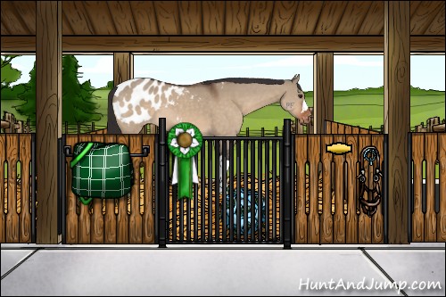 Horse Color:Brown Dun Appaloosa 