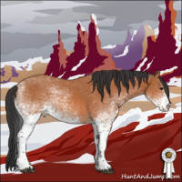 Horse Color:White Spotted Bay