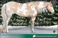 Horse Color:White Spotted Chocolate Palomino Pearl 