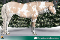 Horse Color:White Spotted Chocolate Palomino Pearl 