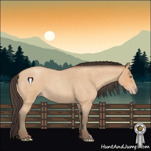 Horse Color:Amber Champagne Roan 
