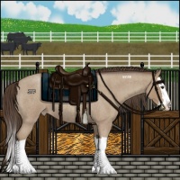 Horse Color:Classic Champagne Roan Splash 