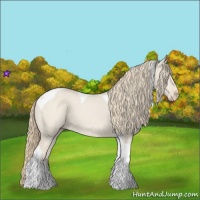 Horse Color:Smoky Creme Dun Tobiano 