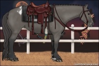 Horse Color:Grullo Appaloosa 