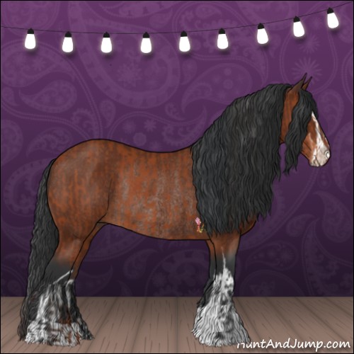 Horse Color:Bay Sabino Rabicano  and Brown Sabino Rabicano 