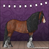 Horse Color:Bay Sabino Rabicano  and Brown Sabino Rabicano 