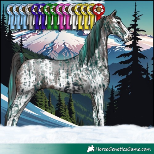 Horse Color:Watercolor Midnight Brown Splash Tobiano  and Brown Sabino Rabicano 