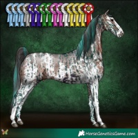 Horse Color:Watercolor Midnight Brown Splash Tobiano and Brown Sabino Rabicano