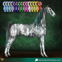 Horse Color:Watercolor Midnight Brown Splash Tobiano  and Brown Sabino Rabicano 
