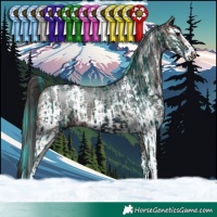Horse Color:Watercolor Midnight Brown Splash Tobiano  and Brown Sabino Rabicano 