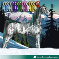 Horse Color:Watercolor Midnight Brown Splash Tobiano  and Brown Sabino Rabicano 