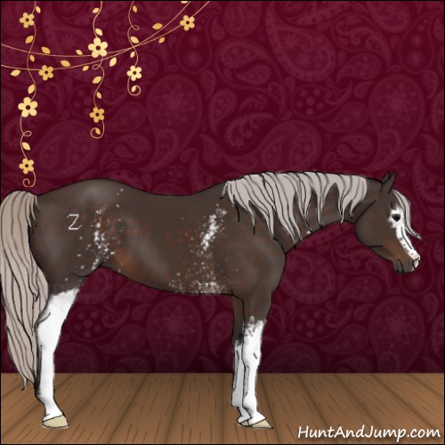Horse Color:White Spotted Silver Brown