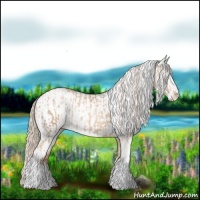 Horse Color:Chocolate Palomino Pearl Sabino Varnish Rabicano and White Spotted Chocolate Palomino Pearl Sabino Varnish Rabicano