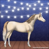 Horse Color:Smoky Black Pearl Splash 