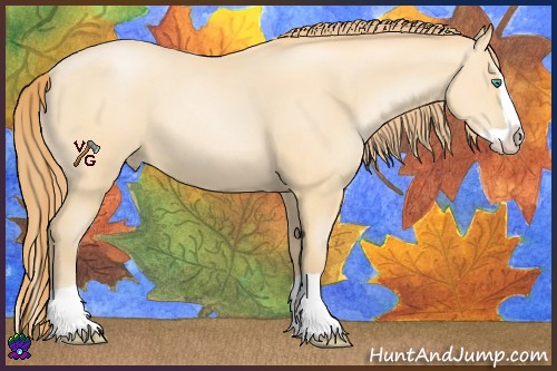 Horse Color:Smoky Black Pearl Splash 