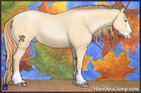 Horse Color:Smoky Black Pearl Splash 