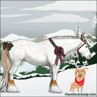 Horse Color:Chestnut Leopard and Chestnut Splash Leopard