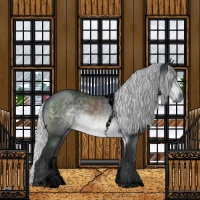 Horse Color:Void Silver Brown Chinchilla Tobiano 