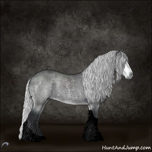 Horse Color:Void Silver Brown Chinchilla Roan Tobiano 
