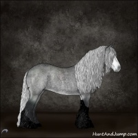 Horse Color:Void Silver Brown Chinchilla Roan Tobiano 