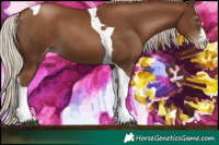 Horse Color:Gray Silver Black Pearl Tobiano 