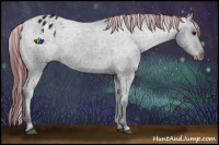 Horse Color:Painted Midnight Black Varnish Rabicano 