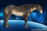 Horse Color:Buckskin Splash Rabicano