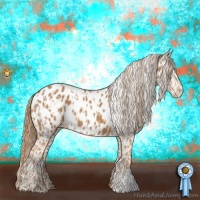 Horse Color:Chestnut Appaloosa  and Chestnut Appaloosa 