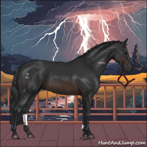 Horse Color:Brown 